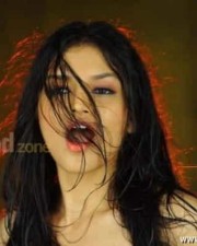 Tara Alisha Hot Pictures