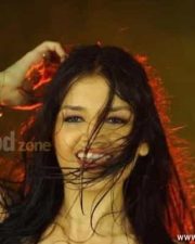 Tara Alisha Hot Pictures