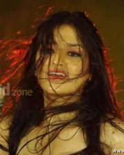 Tara Alisha Hot Pictures