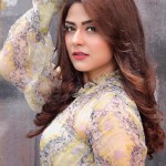 Priyanka Sharma 36 Telugu Heroine Priyanka Sharma Latest Photoshoot Stills