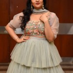 Sreemukhi 4 Tollywood Anchor Sreemukhi at Crazy Uncles Movie Pre Release Event Pictures