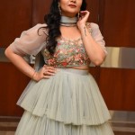 Sreemukhi 3 Tollywood Anchor Sreemukhi at Crazy Uncles Movie Pre Release Event Pictures