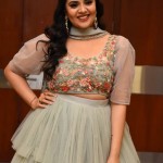 Sreemukhi 20 Tollywood Anchor Sreemukhi at Crazy Uncles Movie Pre Release Event Pictures