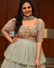 Tollywood Anchor Sreemukhi at Crazy Uncles Movie Pre Release Event Pictures