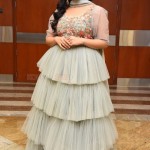Sreemukhi 13 Tollywood Anchor Sreemukhi at Crazy Uncles Movie Pre Release Event Pictures