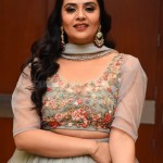 Sreemukhi 9 Tollywood Anchor Sreemukhi at Crazy Uncles Movie Pre Release Event Pictures