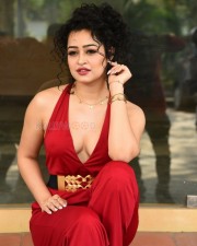 Actress Apsara Rani at Naa Ishtam Movie Press Meet Pictures 01