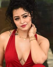Actress Apsara Rani at Naa Ishtam Movie Press Meet Pictures 02 Actress Apsara Rani at Naa Ishtam Movie Press Meet Pictures 02