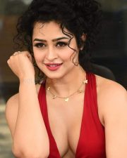 Actress Apsara Rani at Naa Ishtam Movie Press Meet Pictures 11 Actress Apsara Rani at Naa Ishtam Movie Press Meet Pictures 11
