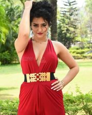 Actress Apsara Rani at Naa Ishtam Movie Press Meet Pictures 23 Actress Apsara Rani at Naa Ishtam Movie Press Meet Pictures 23