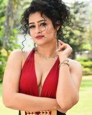 Actress Apsara Rani at Naa Ishtam Movie Press Meet Pictures 24 Actress Apsara Rani at Naa Ishtam Movie Press Meet Pictures 24