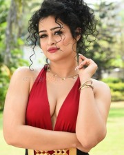 Actress Apsara Rani at Naa Ishtam Movie Press Meet Pictures 24