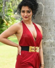 Actress Apsara Rani at Naa Ishtam Movie Press Meet Pictures 34