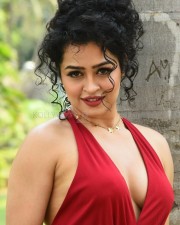 Actress Apsara Rani at Naa Ishtam Movie Press Meet Pictures 35