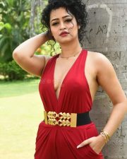 Actress Apsara Rani at Naa Ishtam Movie Press Meet Pictures 36 Actress Apsara Rani at Naa Ishtam Movie Press Meet Pictures 36