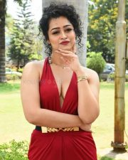 Actress Apsara Rani at Naa Ishtam Movie Press Meet Pictures 46