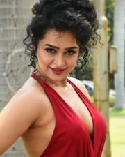Actress Apsara Rani at Naa Ishtam Movie Press Meet Pictures 47