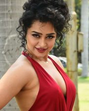 Actress Apsara Rani at Naa Ishtam Movie Press Meet Pictures 47 Actress Apsara Rani at Naa Ishtam Movie Press Meet Pictures 47