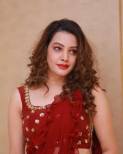 Actress Deeksha Panth At Operation Movie Pre Release Event Photos