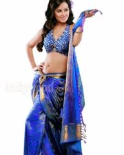 Actress Disha Pandey Photoshoot Images