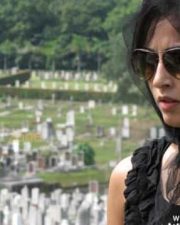 Actress Disha Pandey Pics