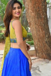 Actress Farnaz Shetty at Induvadana Movie Success Meet Photos 18