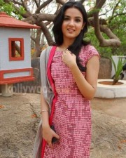 Actress Jasmin Bhasin Photos