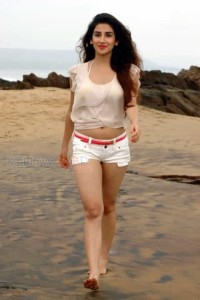 Actress Parul Gulati Sexy Pictures