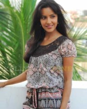 Actress Priya Anand Pictures