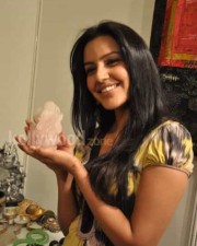 Actress Priya Anand Sexy Photos