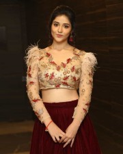 Actress Priyanka Jawalkar At Taxiwala Pre Release Event Photos