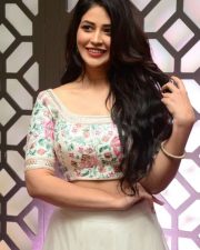 Actress Priyanka Jawalkar at Gamanam Movie Pre Release Event Stills 11