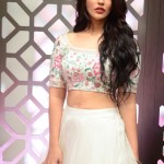 Actress Priyanka Jawalkar at Gamanam Movie Pre Release Event Stills 12 Actress Priyanka Jawalkar at Gamanam Movie Pre Release Event Stills 12