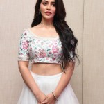 Actress Priyanka Jawalkar at Gamanam Movie Pre Release Event Stills 18 Actress Priyanka Jawalkar at Gamanam Movie Pre Release Event Stills 18
