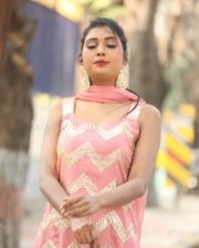 Actress Sanjana Choudhary At Bomma Adirindi Movie Press Meet Photos