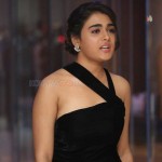 Shalini Pandey 27 Actress Shalini Pandey At Success Meet Stills