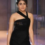 Shalini Pandey 24 Actress Shalini Pandey At Success Meet Stills
