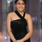 Shalini Pandey 21 Actress Shalini Pandey At Success Meet Stills