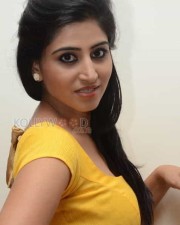 Actress Shamili Photos