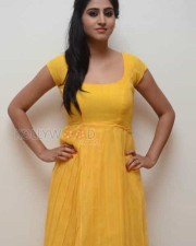 Actress Shamili Photos
