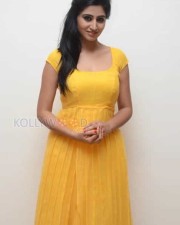 Actress Shamili Photos
