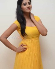 Actress Shamili Photos