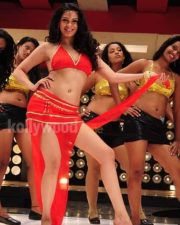 Actress Zabyn Khan Hot Pictures