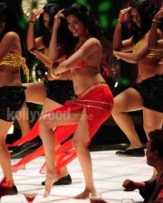 Actress Zabyn Khan Hot Pictures