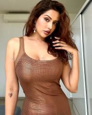 Alluring Raiza Wilson Cleavage in a Brown Mesh Fishnet Bodycon Dress Photos 05 Alluring Raiza Wilson Cleavage in a Brown Mesh Fishnet Bodycon Dress Photos 05