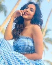 Andhagan Actress Priya Anand Glam Photoshoot Stills