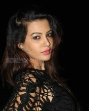 Beautiful Actress Deeksha Panth Pictures