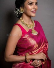 Beautiful Priya Anand In Saree Photos
