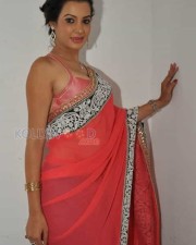 Diksha Panth Sexy Saree Photos