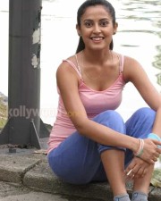 Disha Pandey Sexy Pictures